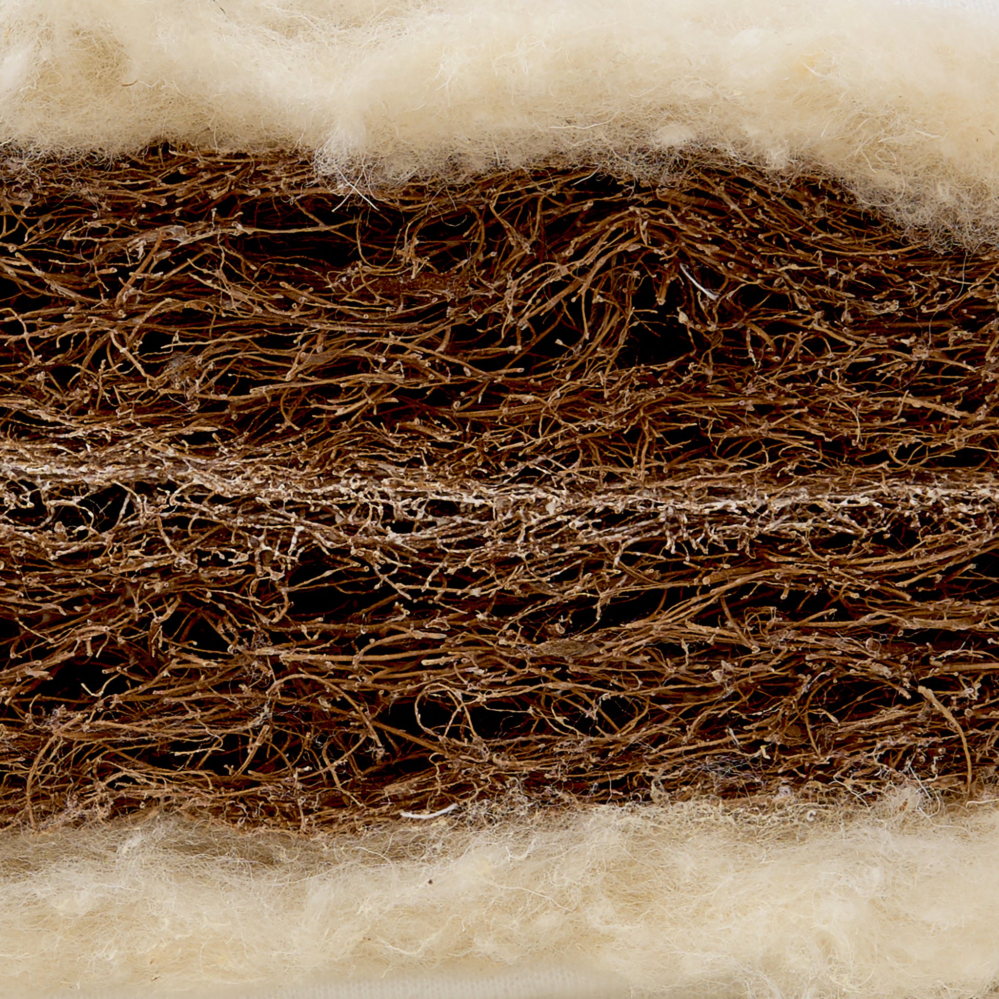 Tiny Dreamer Natural™ - Coconut Coir & 100% Wool Crib Mattress to fit Maxi-Cosi Iora Air - 82 x 50cm - The Tiny Bed Company™
