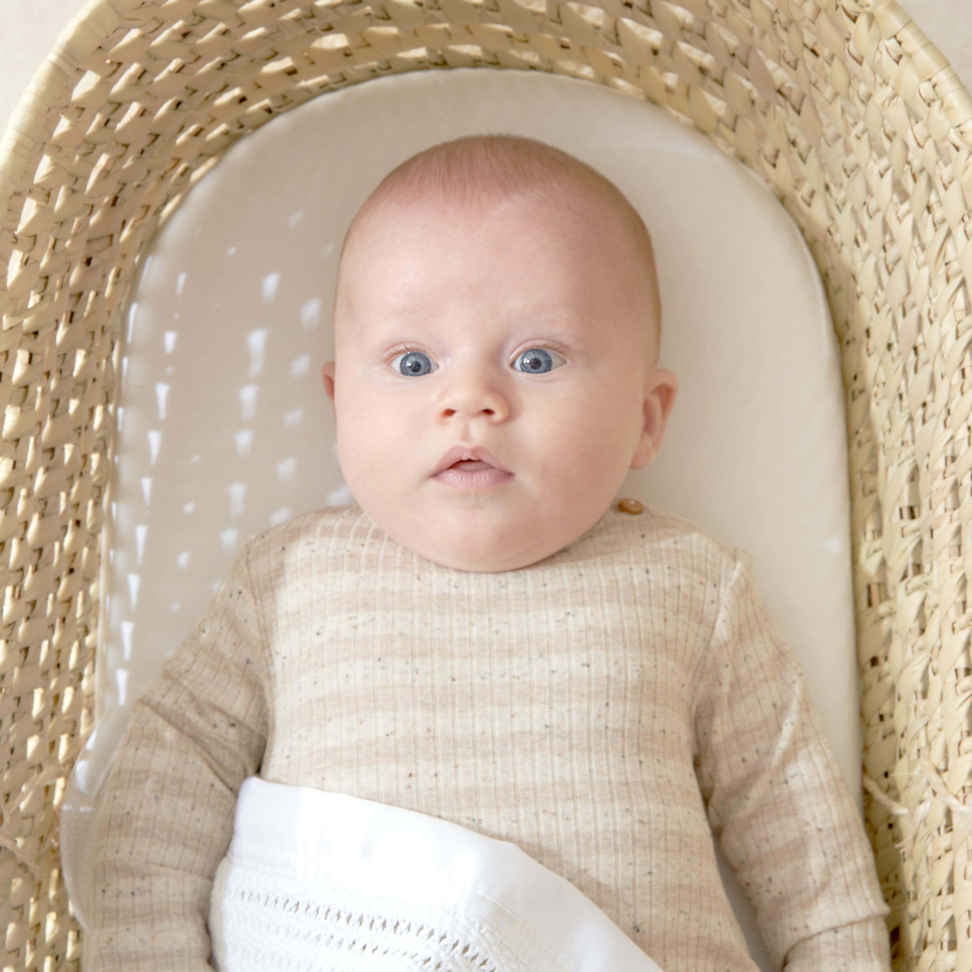 Tiny Dreamer™ - Premium Foam Moses Basket Mattress (74 x 28cm) - The Tiny Bed Company™